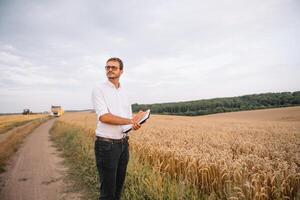 Hintergrund mit geknackt Boden und Sojabohne Feld. Dürre im Landwirtschaft. oben Aussicht von Dürre im Soja Feld mit geknackt Boden. foto