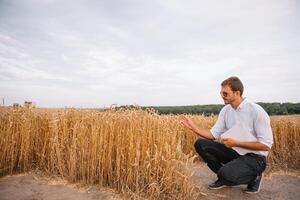 Hintergrund mit geknackt Boden und Sojabohne Feld. Dürre im Landwirtschaft. oben Aussicht von Dürre im Soja Feld mit geknackt Boden. foto