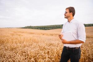 Hintergrund mit geknackt Boden und Sojabohne Feld. Dürre im Landwirtschaft. oben Aussicht von Dürre im Soja Feld mit geknackt Boden foto