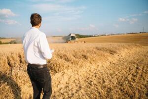 glücklich Farmer im das Feld Überprüfung Mais Pflanzen während ein sonnig Sommer- Tag, Landwirtschaft und Essen Produktion Konzept foto