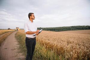 Hintergrund mit geknackt Boden und Sojabohne Feld. Dürre im Landwirtschaft. oben Aussicht von Dürre im Soja Feld mit geknackt Boden foto