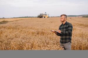 Hintergrund mit geknackt Boden und Sojabohne Feld. Dürre im Landwirtschaft. oben Aussicht von Dürre im Soja Feld mit geknackt Boden foto