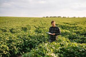 Agronom inspizieren Soja Bohne Pflanzen wachsend im das Bauernhof Feld. Landwirtschaft Produktion Konzept. Landwirtschaft Konzept. landwirtschaftlich Ingenieur Stehen im ein Soja Feld foto