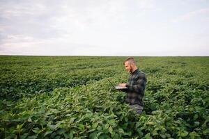 Yong gut aussehend Agronom hält Tablette berühren Pad Computer im das Soja Feld und Prüfung Pflanzen Vor Ernte. Landwirtschaft Konzept. landwirtschaftlich Ingenieur Stehen im ein Mais Feld mit ein Tablette foto