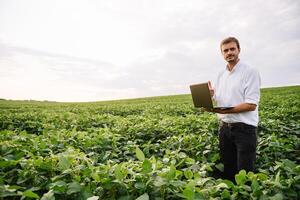 Agronom inspizieren Soja Bohne Pflanzen wachsend im das Bauernhof Feld. Landwirtschaft Produktion Konzept. Landwirtschaft Konzept. landwirtschaftlich Ingenieur Stehen im ein Soja Feld foto