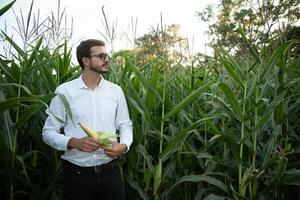 Porträt von ein schön jung Farmer Arbeiten im das Feld, Glücklich, im ein Shirt, Mais Feld. foto