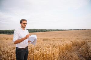 Hintergrund mit geknackt Boden und Sojabohne Feld. Dürre im Landwirtschaft. oben Aussicht von Dürre im Soja Feld mit geknackt Boden foto