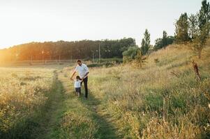 gut aussehend Papa mit seine wenig süß Sohn sind haben Spaß und spielen auf Grün grasig Rasen. glücklich Familie Konzept. Schönheit Natur Szene mit Familie draussen Lebensstil. Familie ruhen zusammen. Väter Tag. foto