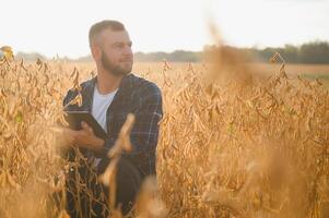 Agronom inspizieren Soja Bohne Pflanzen wachsend im das Bauernhof Feld. Landwirtschaft Produktion Konzept. jung Agronom untersucht Sojabohne Ernte auf Feld. Farmer auf Sojabohne Feld. foto