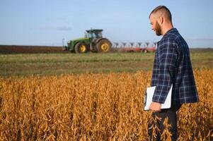 ein jung gut aussehend Farmer oder Agronom untersucht das Reifung von Sojabohnen im das Feld Vor Ernte foto