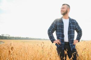 Agronom inspizieren Soja Bohne Pflanzen wachsend im das Bauernhof Feld. Landwirtschaft Produktion Konzept. jung Agronom untersucht Sojabohne Ernte auf Feld. Farmer auf Sojabohne Feld. foto