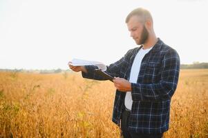 Agronom inspizieren Soja Bohne Pflanzen wachsend im das Bauernhof Feld. Landwirtschaft Produktion Konzept. jung Agronom untersucht Sojabohne Ernte auf Feld. Farmer auf Sojabohne Feld. foto