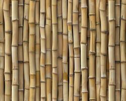 ausgerichtet Bambus Stiele Textur foto
