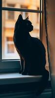 Silhouette von Katze beim Fenster foto