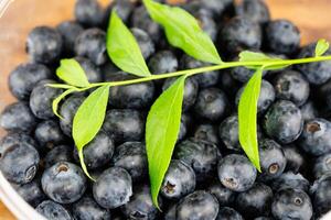 frisch gepflückt Blaubeeren auf Olive Holz foto