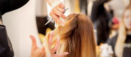 Schneiden weiblich blond Haar. Friseur schneidet Haar von ein jung kaukasisch Frau im ein Schönheit Salon schließen hoch. foto