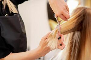 Schneiden weiblich blond Haar. Friseur schneidet Haar von ein jung kaukasisch Frau im ein Schönheit Salon schließen hoch. foto