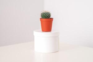 Weiß Krug mit Kaktus im wenig Topf auf das Weiß Tabelle gegen ein Weiß Hintergrund mit Kopieren Raum. Enthaarung Konzept. foto