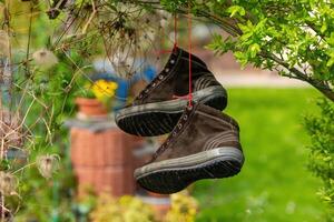 Schuhe hängend im ein Garten im Frühling foto
