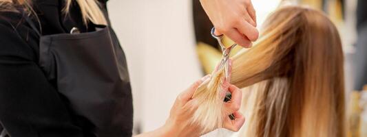 Schneiden weiblich blond Haar. Friseur schneidet Haar von ein jung kaukasisch Frau im ein Schönheit Salon schließen hoch. foto