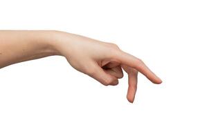 Hand Geste. zeigen Palme, leeren unterzeichnen. abstrakt Symbol, nonverbal Kommunikation Konzept. isoliert foto