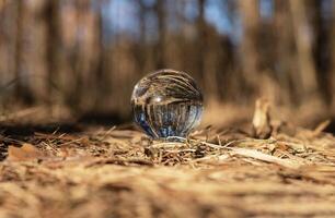 Kristall Glas transparent Ball auf trocken Gelb Gras. Natur Konzept foto