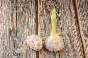 zwei jung Knoblauch Über Hintergrund foto