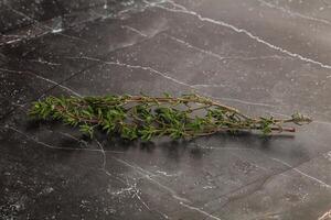 Thymian - - aromatisch Würze Kräuter- Pflanze foto