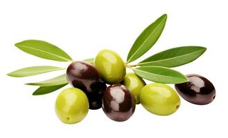 Oliven mit Blätter auf ein Weiß Hintergrund foto