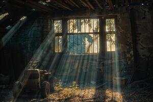 Sonnenstrahlen durchbohren durch das Fenster von ein baufällig Scheune mit ein alt Traktor foto