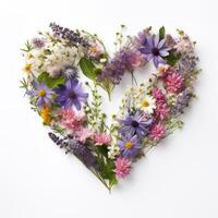 bunt Array von Wildblumen Erstellen ein Herz auf Weiß Hintergrund foto