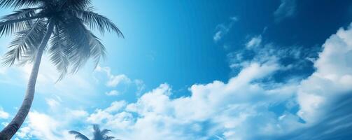 friedlich tropisch Palme Baum Banner unter ein heiter Blau Himmel mit flauschige Wolken foto