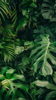 üppig Grün tropisch Blätter Muster foto