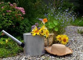 schön immer noch Leben mit Sonnenblumen, Bewässerung können und Hut im das Garten. romantisch Gruß Karte zum Geburtstag, Valentinstag, Mütter Tag Konzept. Sommer- Landschaft Hintergrund mit Jahrgang Objekte foto