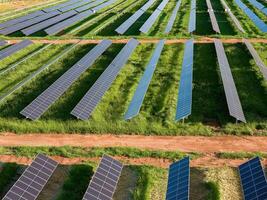 Solar- Energie Pflanze im ländlich Bereich foto