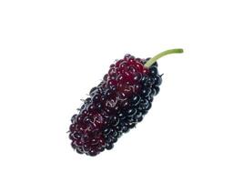 Maulbeere Obst mit Blatt foto