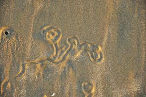 Detail der Spuren eines Wurms am Strand foto