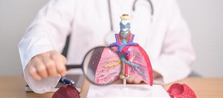 Arzt mit Raucher Lunge Anatomie mit Vergrößerung Glas. Lunge Krebs, Asthma, chronisch obstruktiv Lungen oder kopd, Bronchitis, Emphysem, zystisch Fibrose, Bronchiektasien, Lungenentzündung und Welt Lunge Tag foto