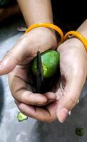 Scheiben von Grün Mango mit roh Mango zum einlegen.asiatisch Küche. foto