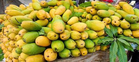 Haufen frischer reifer gelber Mangos Hintergrund foto