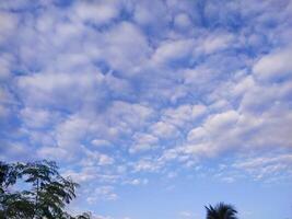 schön Blau Himmel mit viele Weiß Wolken geformt mögen Baumwolle Blumen foto