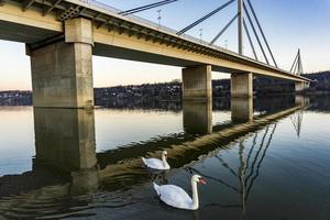 Freiheitsbrücke in Novi Sad, Serbien foto