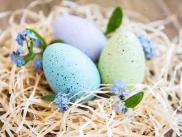 Nest mit Ostereiern foto