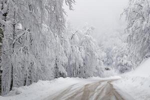 Fahren im das Winter. Wald und Bäume voll von Schnee. Vorsichtig Fahren im Winter Bedingungen. foto