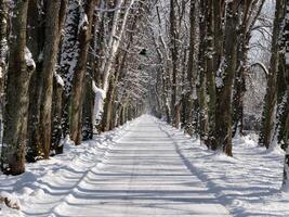 Straßen im das Stadt sind bedeckt im Schnee nach ein groß Schneefall. Winter Jahreszeit. Vorsichtig Fahren im Winter Bedingungen. gefroren und rutschig Straßen. Vorsichtsmaßnahmen während Fahren. foto