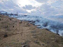 Verbrennung Feld. Feuerwehrmänner Annäherung das Feuer. Lauffeuer im das Berge. Wald Feuer. foto