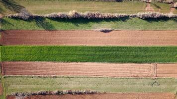 Antenne Drohne Aussicht von landwirtschaftlich Felder. kultivieren Pflanzen und Landwirtschaft. foto