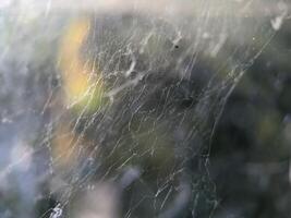 Makro von Spinne Netz Textur foto