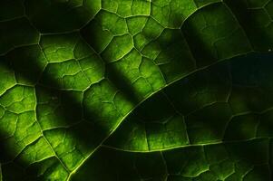 der Natur Tapisserie, schön Blatt Muster Hintergrund. foto