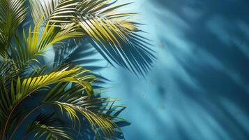tropisch Palme und Monstera Blätter sich aalen im das Sonnenlicht, Gießen spielerisch Schatten auf ein heiter Blau Hintergrund, hervorrufen ein entspannt Insel Atmosphäre. foto